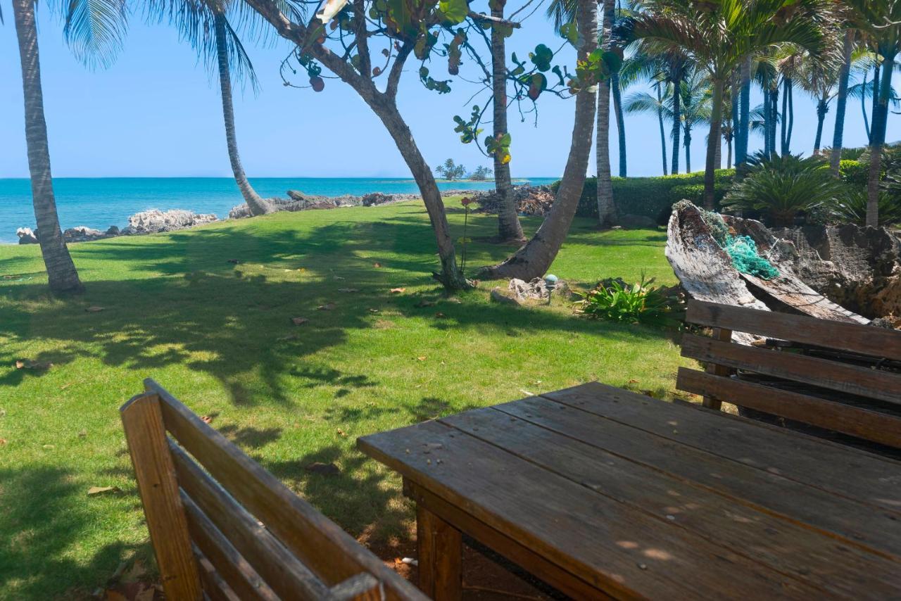 Jasmine La Playita - Ocean Front Apartment Las Galeras Bagian luar foto